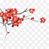 ÷��ˮ��÷����֦-������