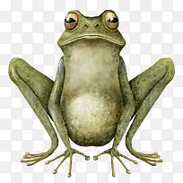 手绘青蛙-空若网 手绘青蛙-空若网