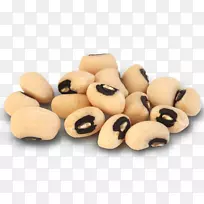 ���۶���ɳ��ʳƷ�ڶ�-������