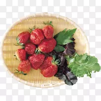 ��ݮ��ˮ��ʳƷ-��ݮ-������