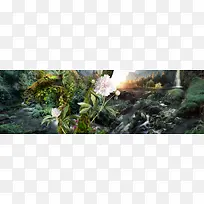 林间植物背景-空若网 林间植物背景-空若网