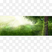 ���ֱ���-������