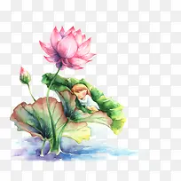 手绘花朵装饰-空若网 手绘花朵装饰-空若网