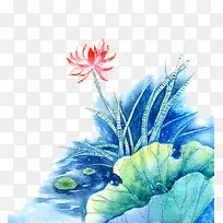 ˮ�ʺɻ�-������