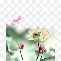 荷花水墨装饰设计素材-空若网 荷花水墨装饰设计素材-空若网