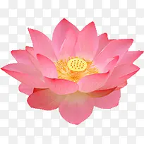 �ɻ�-������