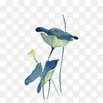 简约蓝色水彩荷花-空若网 简约蓝色水彩荷花-空若网