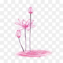 手绘荷花-空若网 手绘荷花-空若网