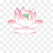 手绘粉色荷花矢量图-空若网 手绘粉色荷花矢量图-空若网