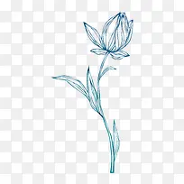 手绘荷花-空若网 手绘荷花-空若网