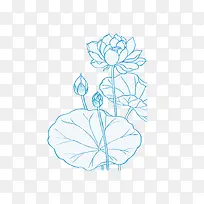 手绘荷花-空若网 手绘荷花-空若网