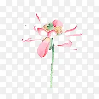 水彩荷花-空若网 水彩荷花-空若网