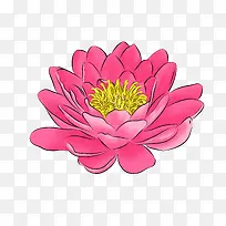 �ֻ�ɻ�-������