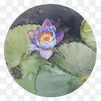 水彩荷花-空若网 水彩荷花-空若网