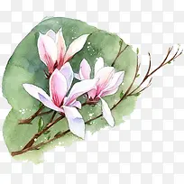 水彩荷花-空若网 水彩荷花-空若网