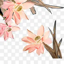 �ֻ�ɻ�-������