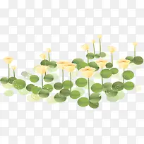 手绘荷花-空若网 手绘荷花-空若网