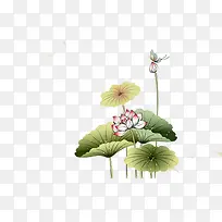 �ֻ�ɻ�-������