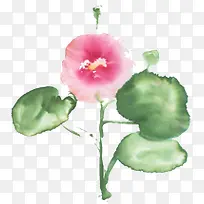 �ֻ�ˮ�ʺɻ�-������