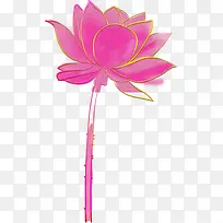 手绘荷花-空若网 手绘荷花-空若网