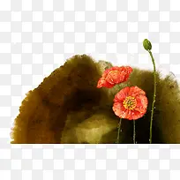 ˮ�ʺɻ�ˮī-������