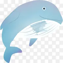 卡通手绘海豚插画设计-空若网 卡通手绘海豚插画设计-空若网