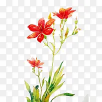 唯美手绘鲜花-空若网 唯美手绘鲜花-空若网