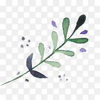 �ֻ�ˮ��-������