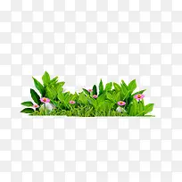 ΨÃÀ¾«ÃÀÇåÐÂС²Ý»¨¶ä-¿ÕÈôÍø ΨÃÀ¾«ÃÀÇåÐÂС²Ý»¨¶ä-¿ÕÈôÍø