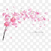 粉色花朵-空若网 粉色花朵-空若网