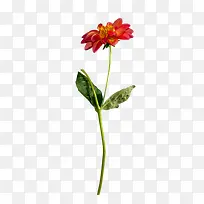 ��仨���ֻ滨���ز�-������