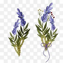 ΨÃÀ×Ïɫ޹Ò²ÝÃâ¿Ùͼ-¿ÕÈôÍø ΨÃÀ×Ïɫ޹Ò²ÝÃâ¿Ùͼ-¿ÕÈôÍø