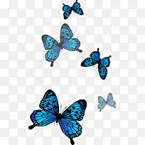 ��ͨ�ֻ�Ψ������-������