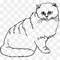 猫摄影艺术剪贴画-空若网 猫摄影艺术剪贴画-空若网