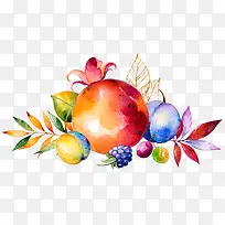 手绘瓜果蔬菜-空若网 手绘瓜果蔬菜-空若网