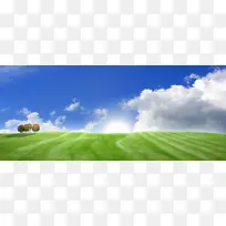 ���²ݵذ��ƺ�������-������