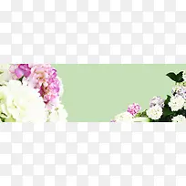 简约大气紫薇花海报背景-空若网 简约大气紫薇花海报背景-空若网