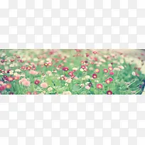 小清新花朵海报背景-空若网 小清新花朵海报背景-空若网