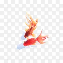 动物手绘-空若网 动物手绘-空若网