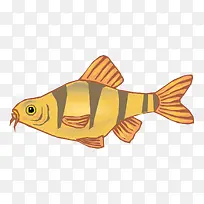 ʸÁ¿½ð»Æ¹ÛÉÍÓãËØ²Ä-¿ÕÈôÍø ʸÁ¿½ð»Æ¹ÛÉÍÓãËØ²Ä-¿ÕÈôÍø