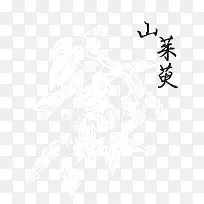 手绘山茱萸-空若网 手绘山茱萸-空若网