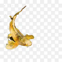 �ʻ���㶯��-������