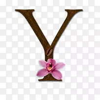 ֪ʶ����ҵ��˹͡�����ݳ������ձ�����-y-������