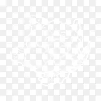 亚热带生物温带气候澳大利亚-花椰菜-空若网 亚热带生物温带气候澳大利亚-花椰菜-空若网