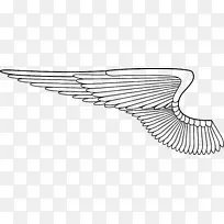 绘画剪贴画-翅膀-空若网 绘画剪贴画-翅膀-空若网