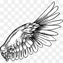 ´óÑã³á°ò-¿ÕÈôÍø ´óÑã³á°ò-¿ÕÈôÍø