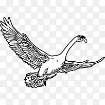 �ֻ����-������