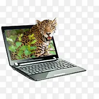 电脑-空若网 电脑-空若网