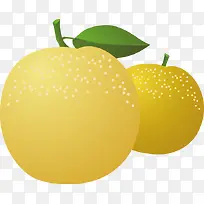 ƻ����ʸ���ز�-������