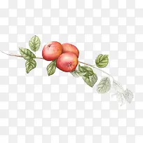 手绘苹果-空若网 手绘苹果-空若网